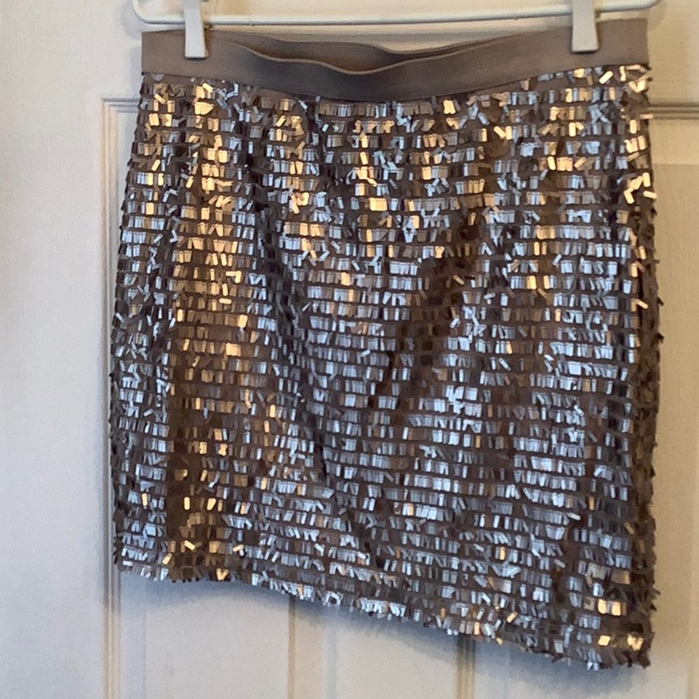 Silver Sequin Skirt